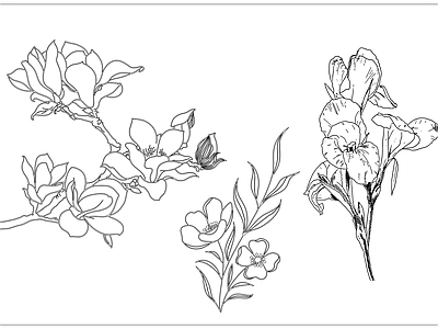 现代极简综合植物图库 现代简笔画 花卉植物挂画 花朵花卉 施工图