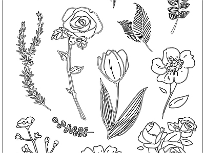 现代极简综合植物图库 现代简笔画 花卉植物挂画 花朵花卉 施工图