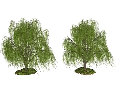 新中式景观乔木 行道落叶庭院树 柳树