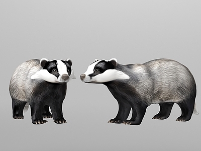 写实风其他动物