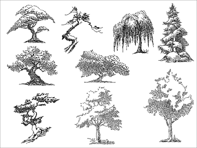 乔木种植 乔木树木 施工图