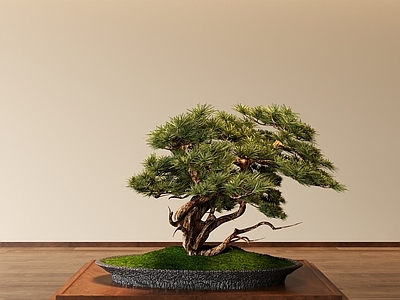 日式禅意盆景