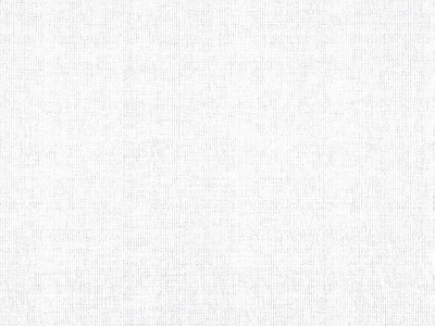 现代欧式纱布 窗纱 褶皱布纹 深色纱布