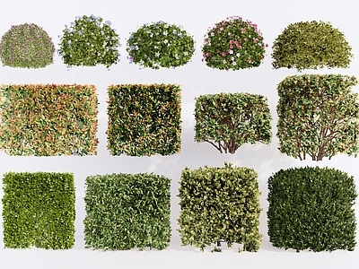 现代主义景观灌木 灌木球 绿篱绿植 垂直绿化z 植物围挡 花草植物堆