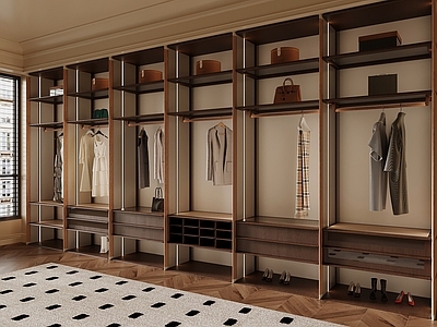 现代轻奢衣帽间 衣帽间 衣柜