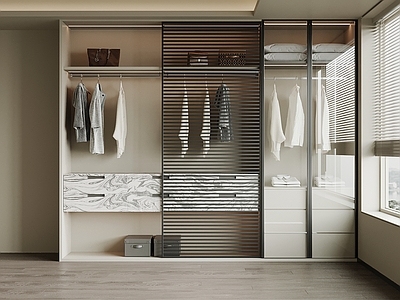 现代简约衣帽间 衣柜 开放式衣柜