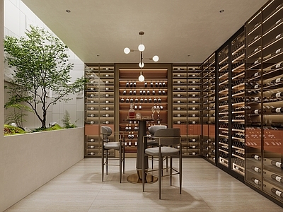 现代轻奢酒窖