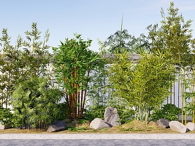 新中式景观竹子 中式竹子 庭院植物景观 中式庭院 植物围挡 景观小品