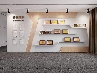 现代简约荣誉室 前台背景 背景墙 荣誉墙 资质
