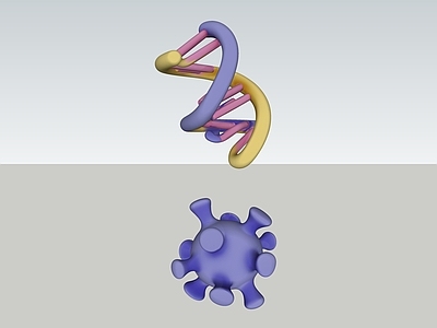 极简主义玩具 病毒 模型 基因