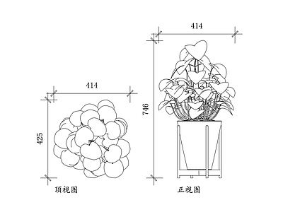 现代综合植物图库 三角风 土鼓藤 钻天风 上树蜈蚣 爬崖藤 施工图