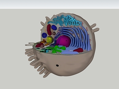 生物结构具象化风格展示用品 病毒 核酸 病例 病理