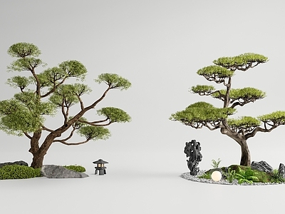 新中式景观庭院小品 松树 老桩 罗汉松 景观造景 乔木