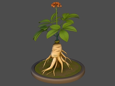 卡通风格盆栽 人参植物