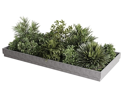 现代简约植物组合 现代绿植池 植物堆 景观绿植池 户外景观绿植