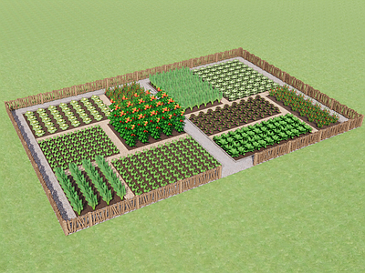 菜园田园风农业景观