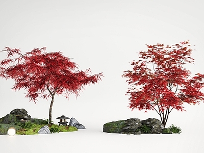 新中式景观景观树 红枫 鸡爪槭 景观树 庭院小品 石头