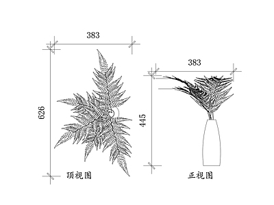 现代综合植物图库 蕨类花艺 蕨叶插花 绿蕨插花 蕨类花束 蕨叶花艺 施工图
