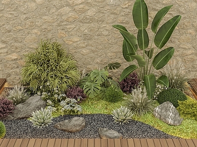 现代自然风植物堆 现代植物堆 旱景植物组合