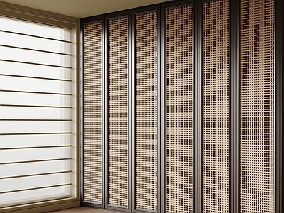 新中式衣帽间 衣柜 藤编柜门