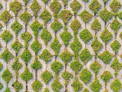 现代植草砖 植草砖 地砖