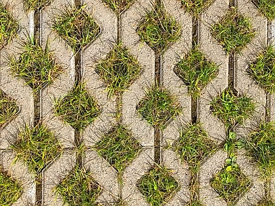 现代植草砖 植草砖 地砖 户外地面