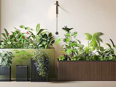 现代简约花箱 户外花箱 花池花坛  植物堆 盆栽 植物