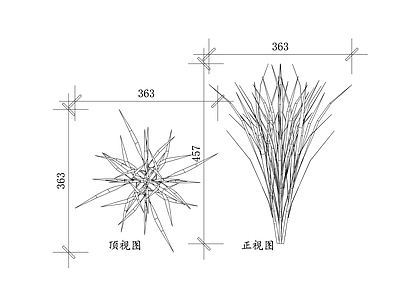 水生植物 水稻 稻谷 稻子 禾稻 稻米 施工图