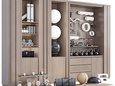 现代简约运动器材 运动器材 健身器材