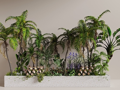 热带景观风沙漠植物 花池  植物堆 热带植物 植物造景 绿植堆