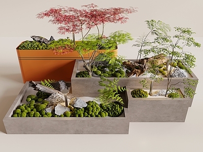 新中式景观花池 苔藓造景 花池  植物造景 植物堆 景观树