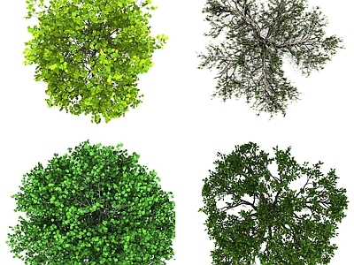 现代其它HDR 植物彩平面 平面树木