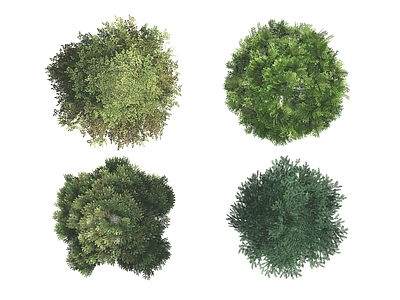 现代其它HDR 植物彩平面 彩平面树木