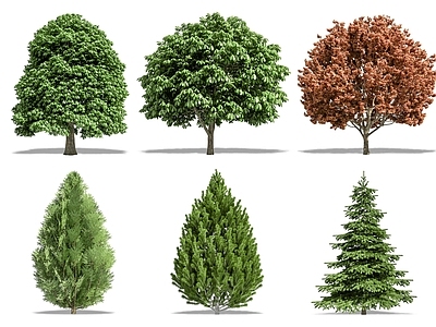 现代其它HDR 植物树木 树木乔木