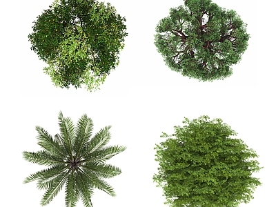 现代其它HDR 植物彩平面 平面树木