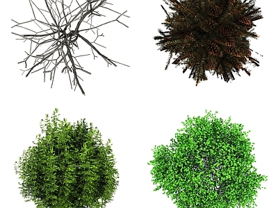现代其它HDR 平面树木 植物彩平面