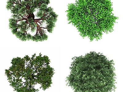 现代其它HDR 植物彩平面 平面树木