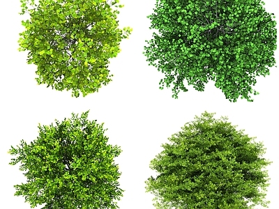 现代其它HDR 植物彩平面 彩平面树木