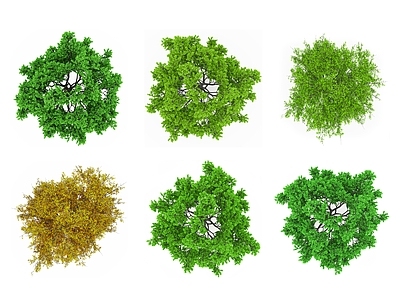 现代其它HDR 平面树木 植物彩平面