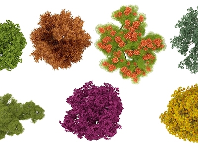 现代其它HDR 植物彩平面 平面树木