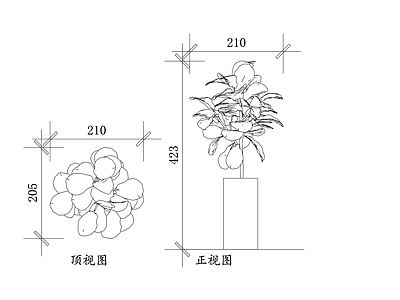 现代绿植 果树盆栽 盆景果树 盆栽果树 造型果树 观果盆景 施工图