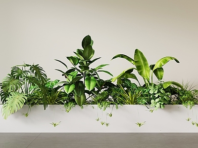 现代简约植物组合