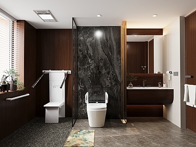 现代适老风卫生间