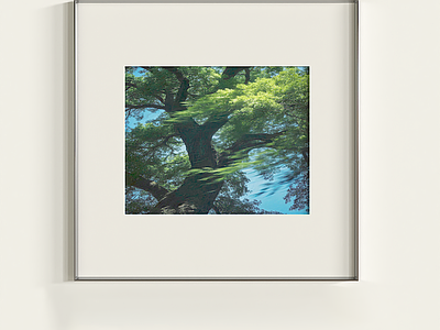 日式挂画 现代极简挂画 小众挂画 包豪斯挂画 装饰画 客餐厅挂画