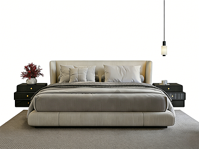 现代简约双人床 双人床