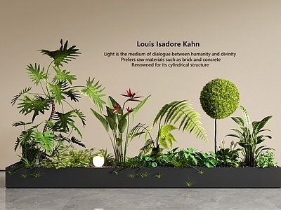 现代简约花箱 外摆花箱 植物堆 室内景观 景观造景 花池花坛