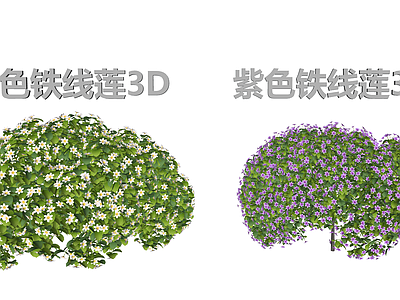 3D写实灌木 铁线莲三维 藤蔓景观3D 铁线莲球形灌木 庭院阳台绿植点缀 白紫花系装饰植物