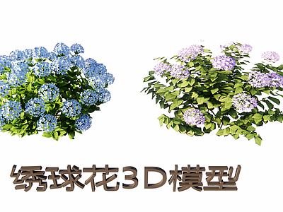 写实风灌木 绣球花三维3D  八仙花写实 绣球花素材 庭院景观花卉 室外绿植花卉