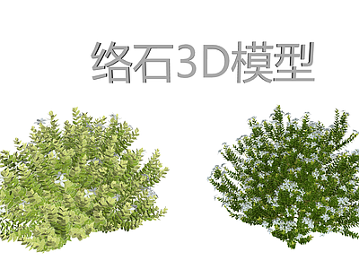 3D风格灌木 络石三维集 络石藤3D 攀援绿植景观 庭院景观绿植 室外绿化植物