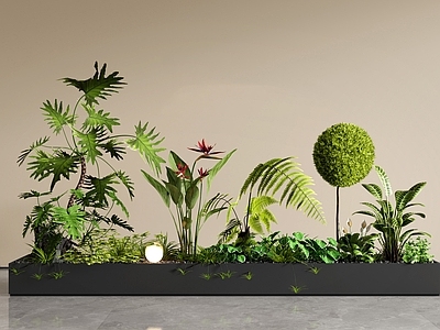 现代简约植物组合 外摆花箱 室内景观 盆栽 花池花坛 花草